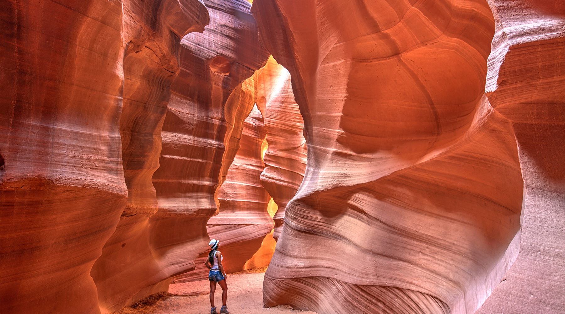 parallax image parallax image