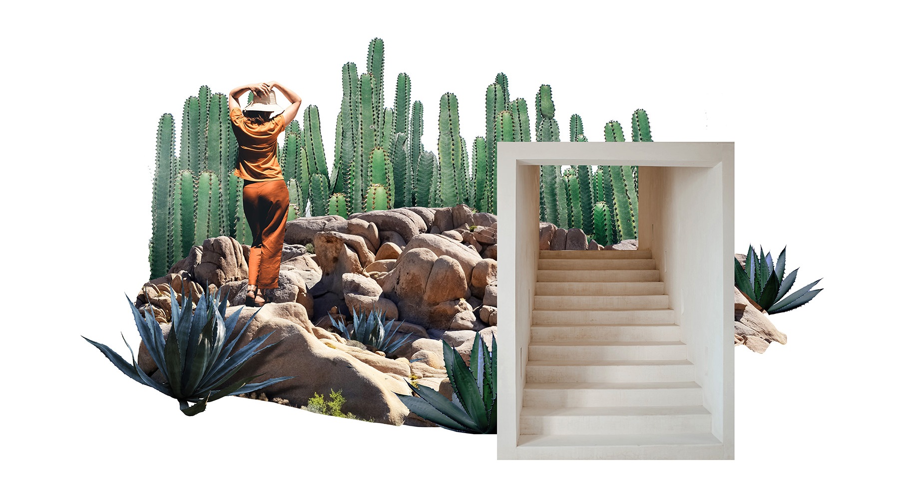 parallax image parallax image